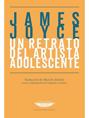 Un Retrato Del Artista Adolecente