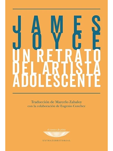 Un Retrato Del Artista Adolecente 1