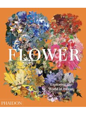 Flower Exploring The World In Bloom