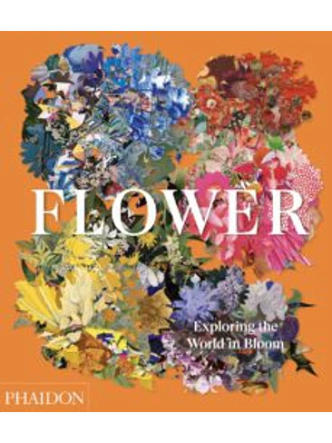 Flower Exploring The World In Bloom 1