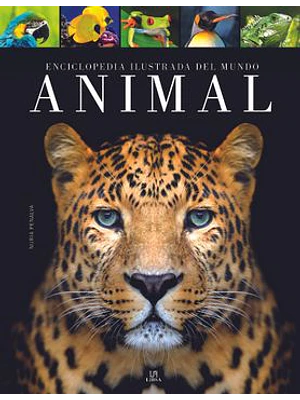 Enciclopedia Ilustrada Del Mundo Animal