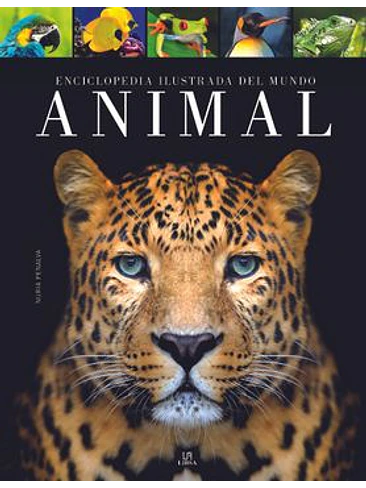 Enciclopedia Ilustrada Del Mundo Animal 1
