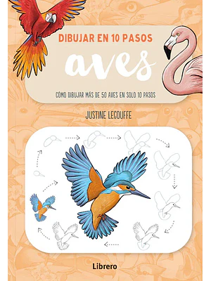 Dibujar En 10 Pasos Aves