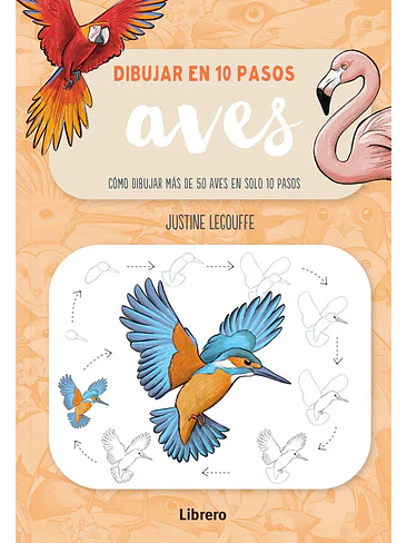 Dibujar En 10 Pasos Aves 1