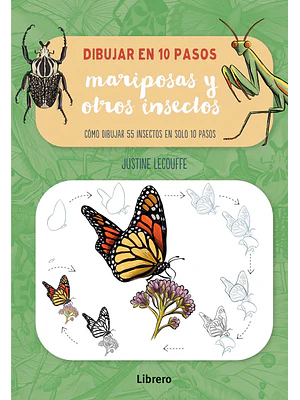 Dibujar En 10 Pasos Mariposas Y Otros Insectos