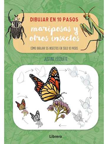 Dibujar En 10 Pasos Mariposas Y Otros Insectos 1