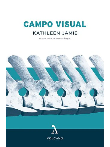 Campo Visual 1
