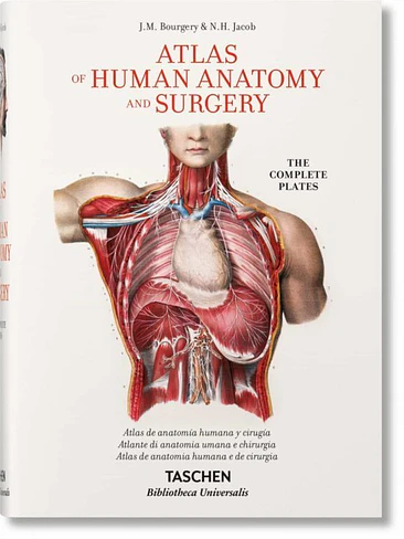 Atlas Of Human Anatomy And Surgery 1