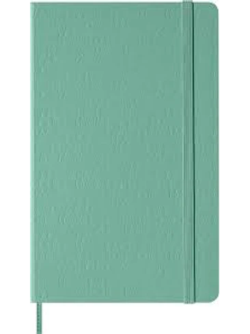 Classic Notebook Con Relieve Large Verde Salvia De Rayas Td 1