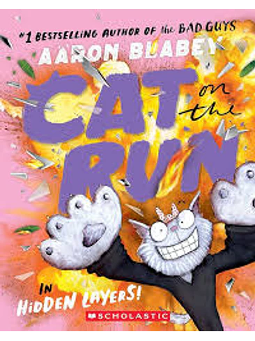 Cat On The Run 3 In Hidden Layers 1