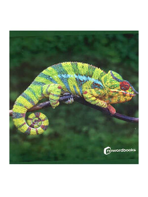 Animales De La Selva