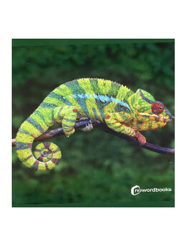 Animales De La Selva 1