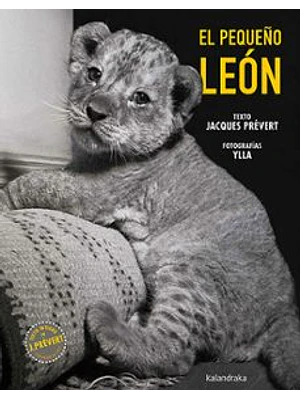 Pequeño Leon, El