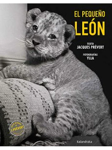 Pequeño Leon, El 1