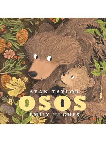 Osos 1