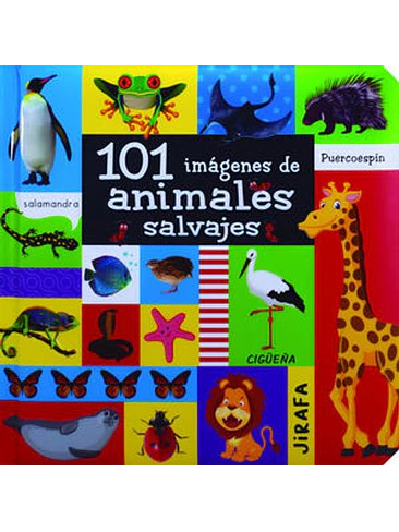 101 Imagenes De Animales Salvajes 1