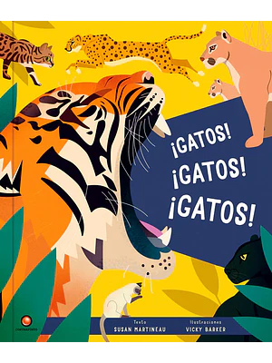 Gatos Gatos Gatos