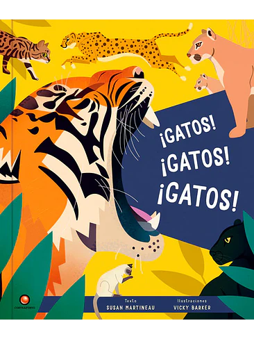 Gatos Gatos Gatos 1