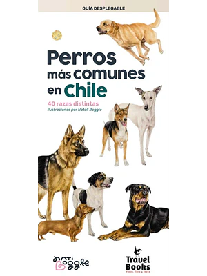 Guia Perros Mas Comunes En Chile