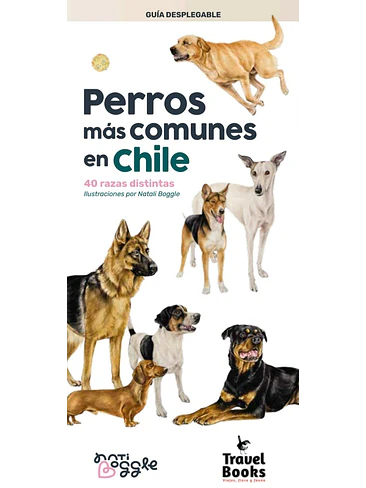 Guia Perros Mas Comunes En Chile 1