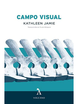 Campo Visual