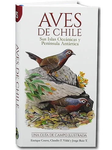 Aves De Chile Una Guia De Campo Ilustrada 1