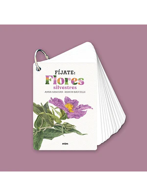 Fijate Flores