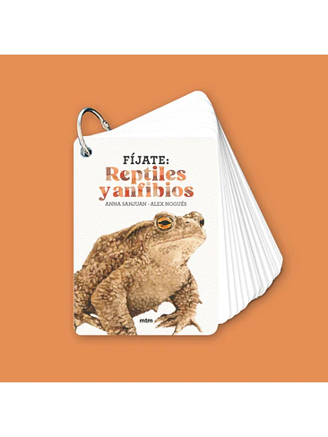 Fíjate Reptiles Y Anfibios 1