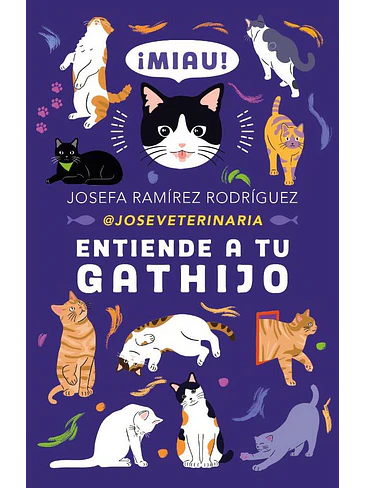 Entiende A Tu Gathijo 1