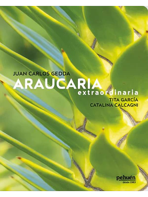 Araucaria Extraordinaria
