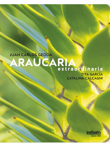 Araucaria Extraordinaria 1