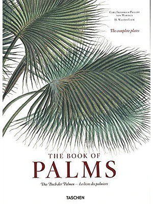 The Book Of Palms