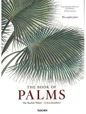 The Book Of Palms 1
