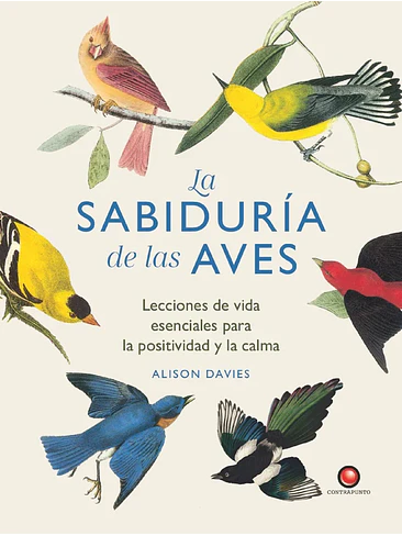 Sabiduria De Las Aves, La 1