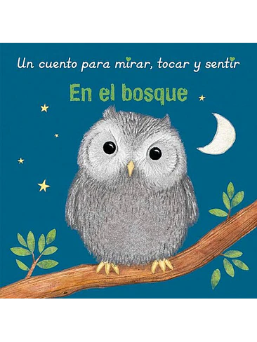 Un Cuento Para Mirar Tocar Y Sentir En El Bosque 1
