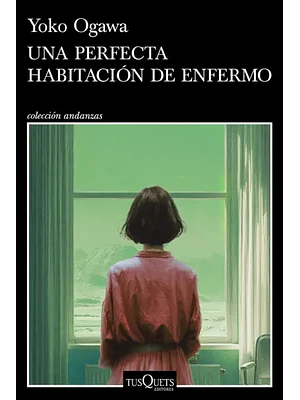 Una Perfecta Habitacion De Enfermo