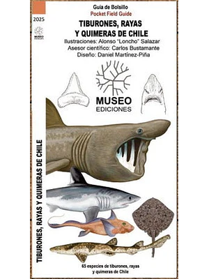Guia Tiburones Rayas Y Quimeras De Chile
