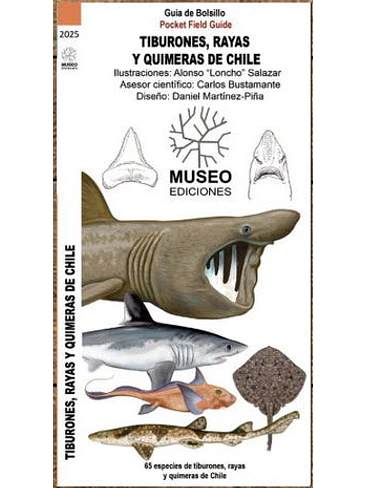 Guia Tiburones Rayas Y Quimeras De Chile 1