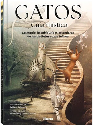 Gatos, Guía Mística