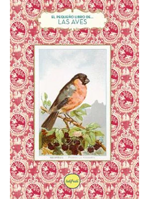 Pequeño Libro De Las Aves, El