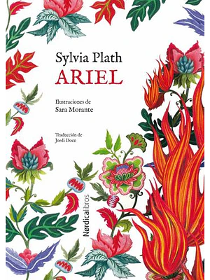 Ariel