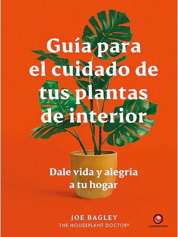Guia Para El Cuidado De Tus Plantas De Interior 1