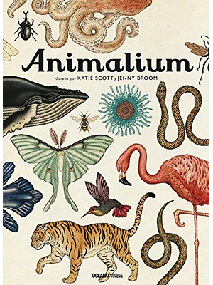 Animalium