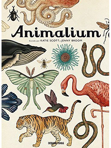 Animalium 1