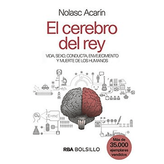 El Cerebro Del Rey