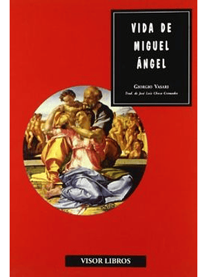 Vida De Miguel Angel