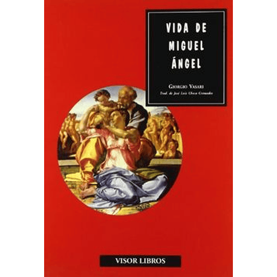 Vida De Miguel Angel