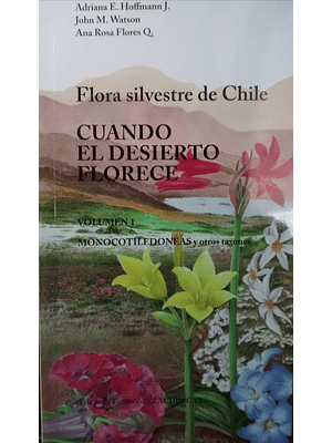 Flora Silvestre De Chile Cuando El Desierto Florece