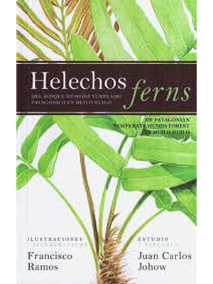 Helechos Ferns Huilo Huilo