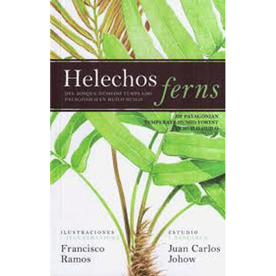 Helechos Ferns Huilo Huilo